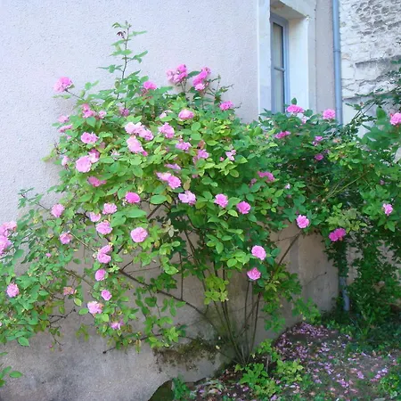 Manoir D'orbé