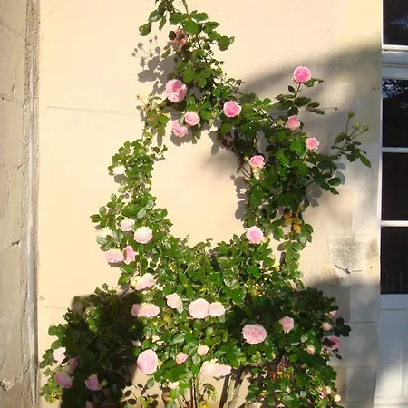 Guest house Manoir D'orbe 3*
