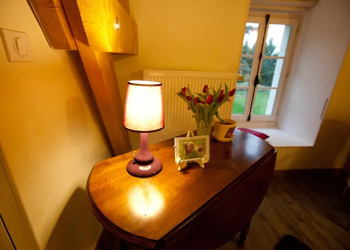 Gasthuis Manoir D'orbe